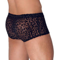 Noir sheer leggings with animal print design, featuring a sleek and stylish look perfect for casual or dressy outfits.