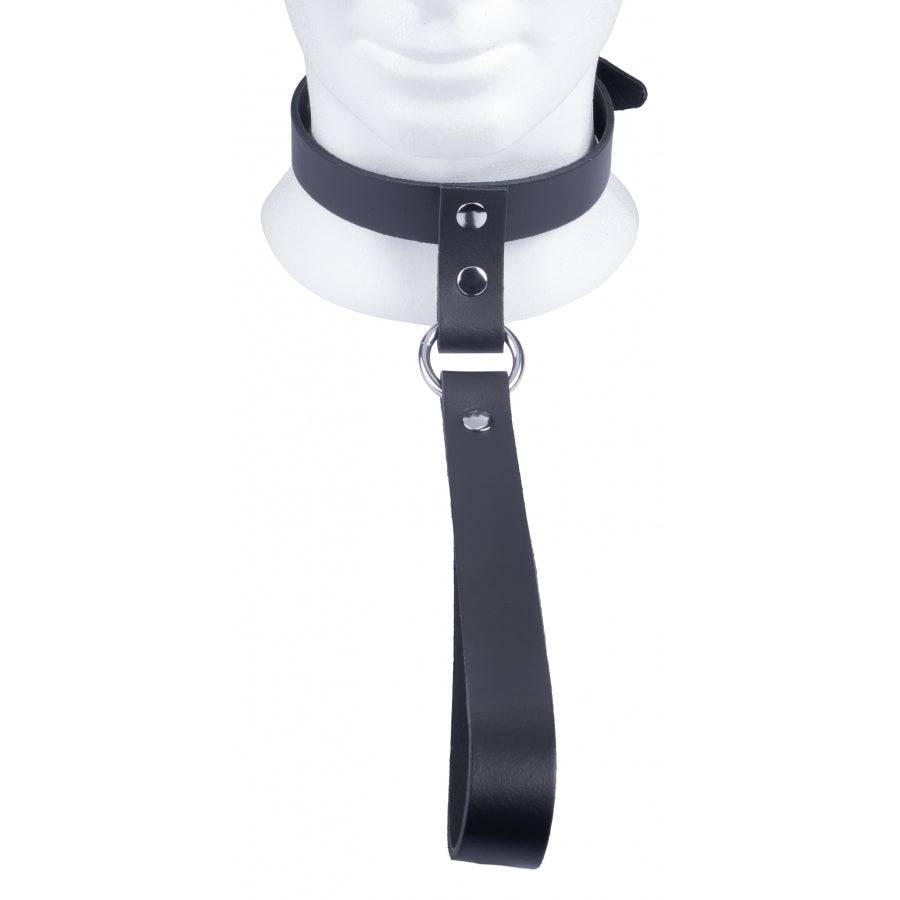 Röd läderhalsband med kort koppel från The Red, elegant design med smidig textur och detaljerade sömmar.