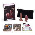 B-Vibe Limited Edition Novice anal plug featuring a smooth design and vibrant colors, ideal for beginners.