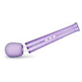 Le Wand Petite rechargeable vibrating massager in vibrant violet color with ergonomic design and soft touch finish.