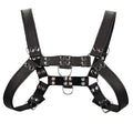Black large to extra-large chest bulldog harness by Shots Toys, featuring sturdy straps and a sleek design.