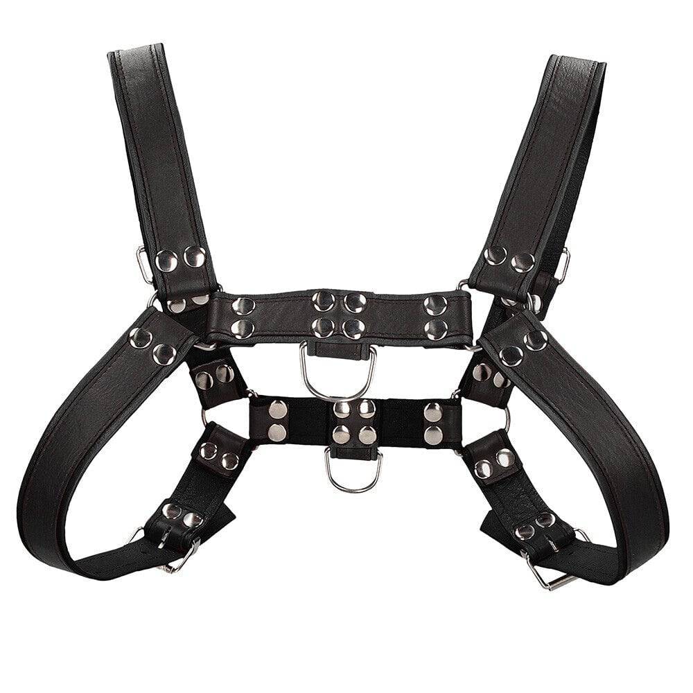 Black large to extra-large chest bulldog harness by Shots Toys, featuring sturdy straps and a sleek design.