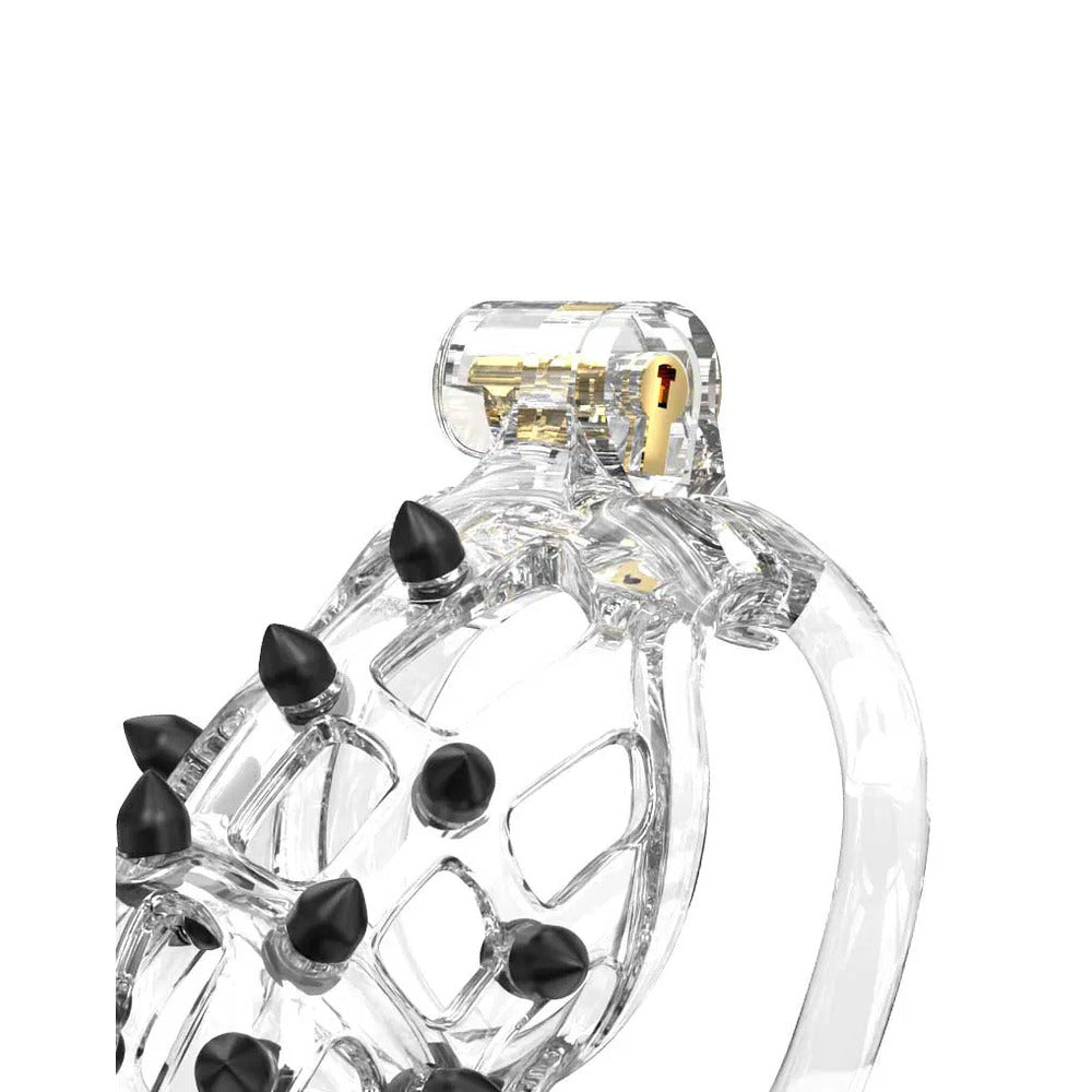 Rimba PCage PC09 Medium Transparent cage showcasing its clear panels and sturdy metal framework.