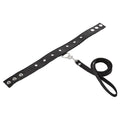 Sportsheets leather leash and collar set displayed on a neutral background, featuring sturdy hardware and soft padding.