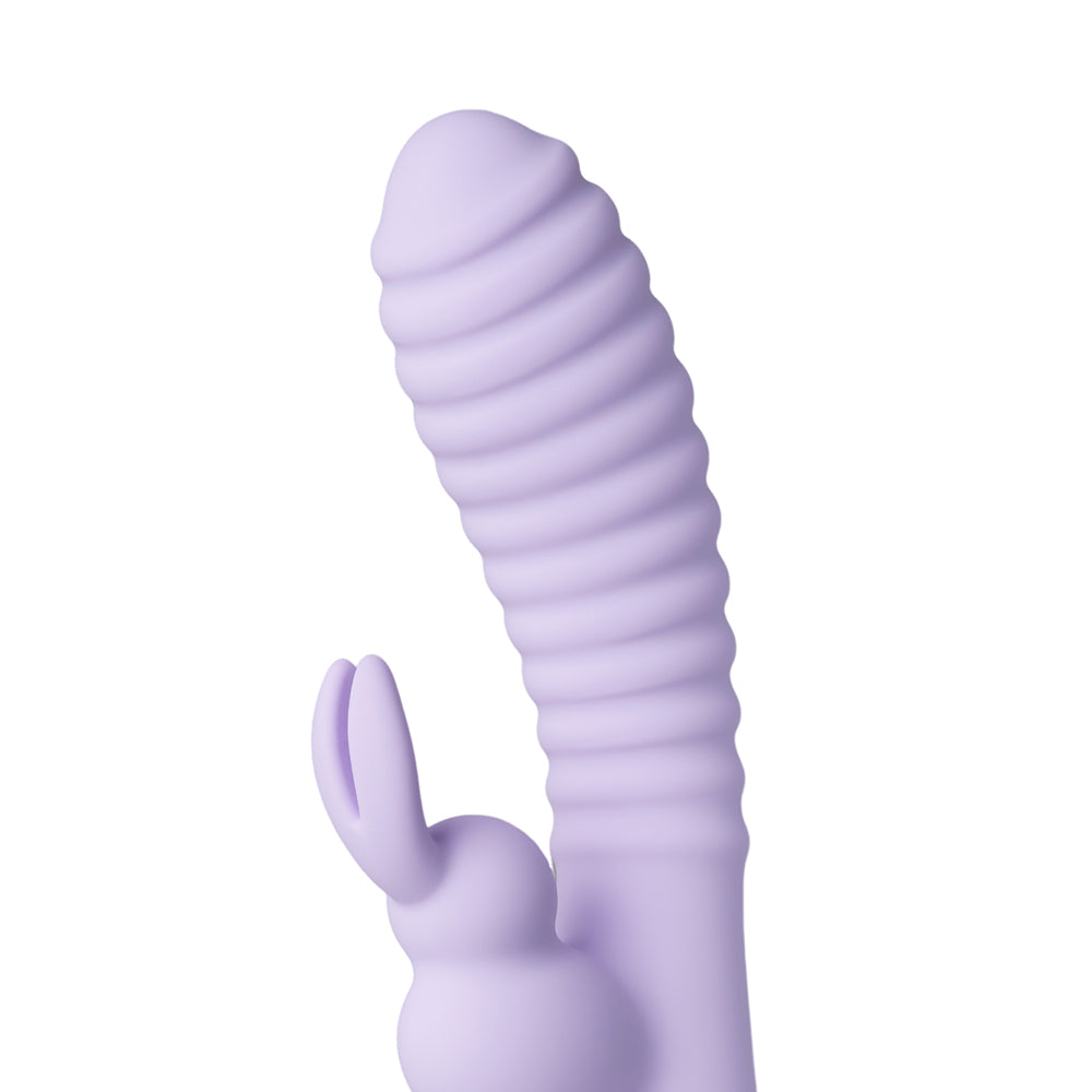 Purple 12-speed rabbit vibrator from Various Toy Brands, showcasing its sleek design and dual stimulation features.